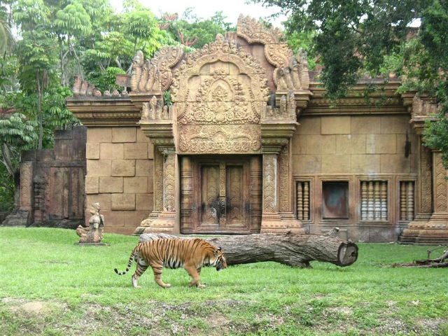 Parque Zoológico de Miami-Dade - Miami | Secret World Trip Planner