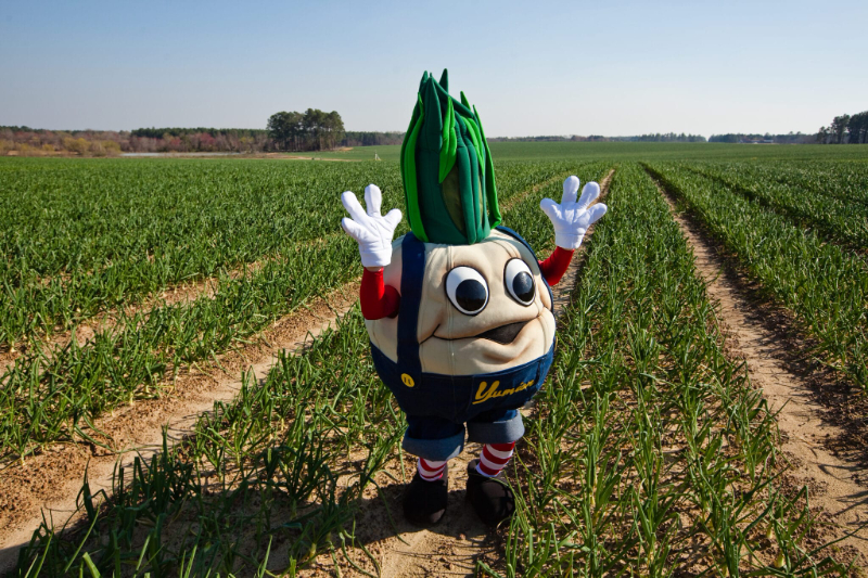 Festival de l'oignon de Vidalia - Vidalia | Secret World Trip Planner