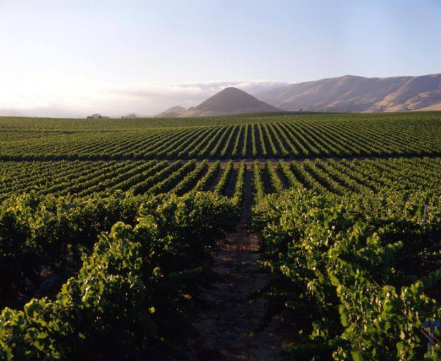 Vin de Savoie - Porto Rafti | Secret World Trip Planner