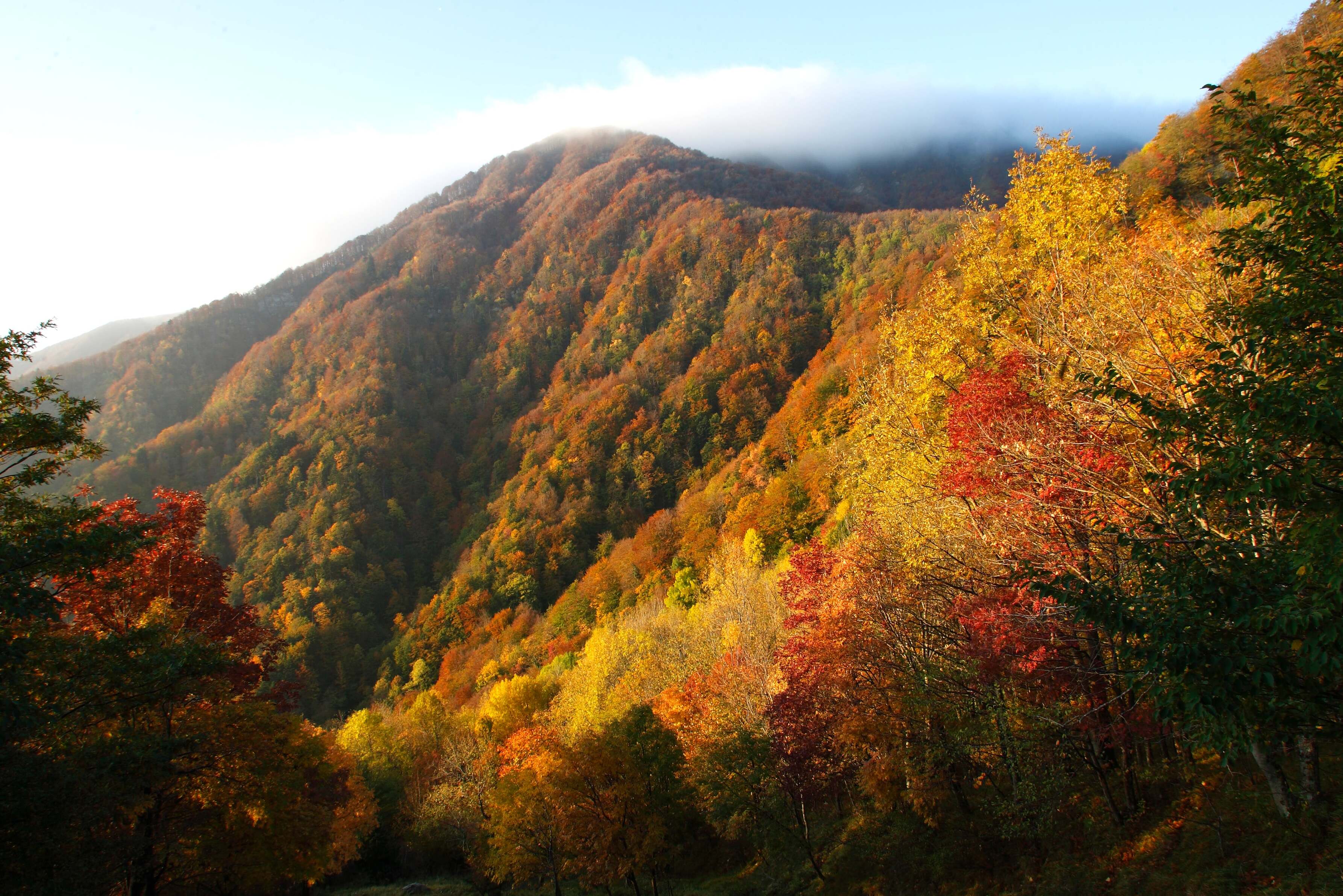 National Park of Casentino Forests, Mount Falterona and Campigna - Arezzo | Secret World Trip Planner