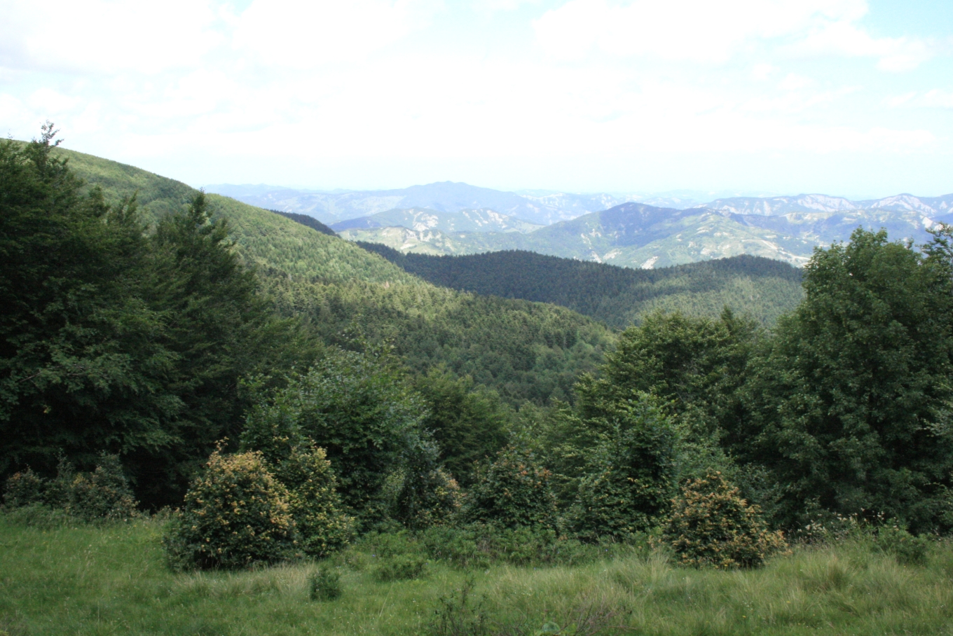National Park of Casentino Forests, Mount Falterona and Campigna - Arezzo | Secret World Trip Planner
