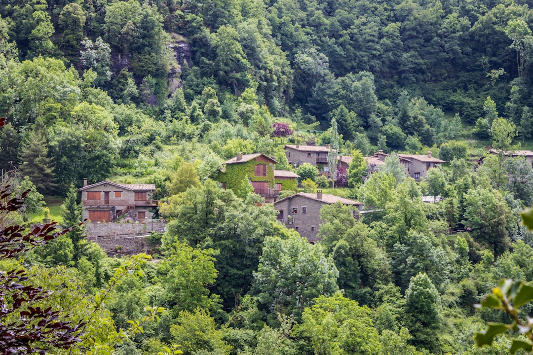Reserva Natural del Sasso Fratino - 47021 Bagno di Romagna FC | Secret World Trip Planner