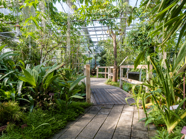 Conservatorio Botánico Nacional de Brest — Brest