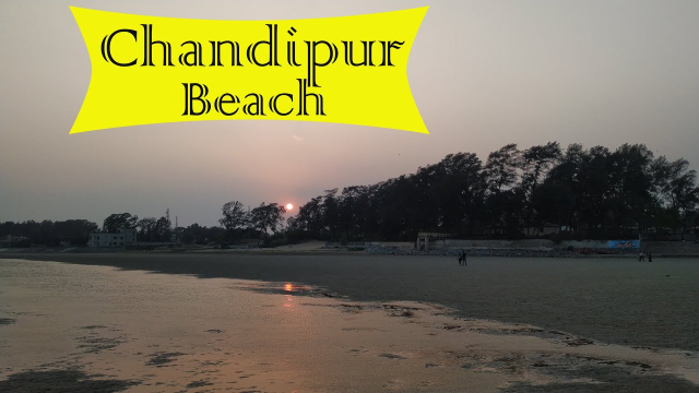 Plage de Chandipur : Les plaisirs de la nature en Odisha - Balasore | Secret World Trip Planner