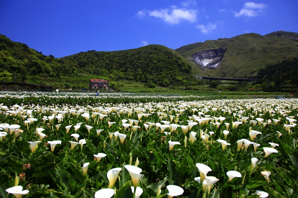 Taiwán | Parque Nacional de Yangmingshan