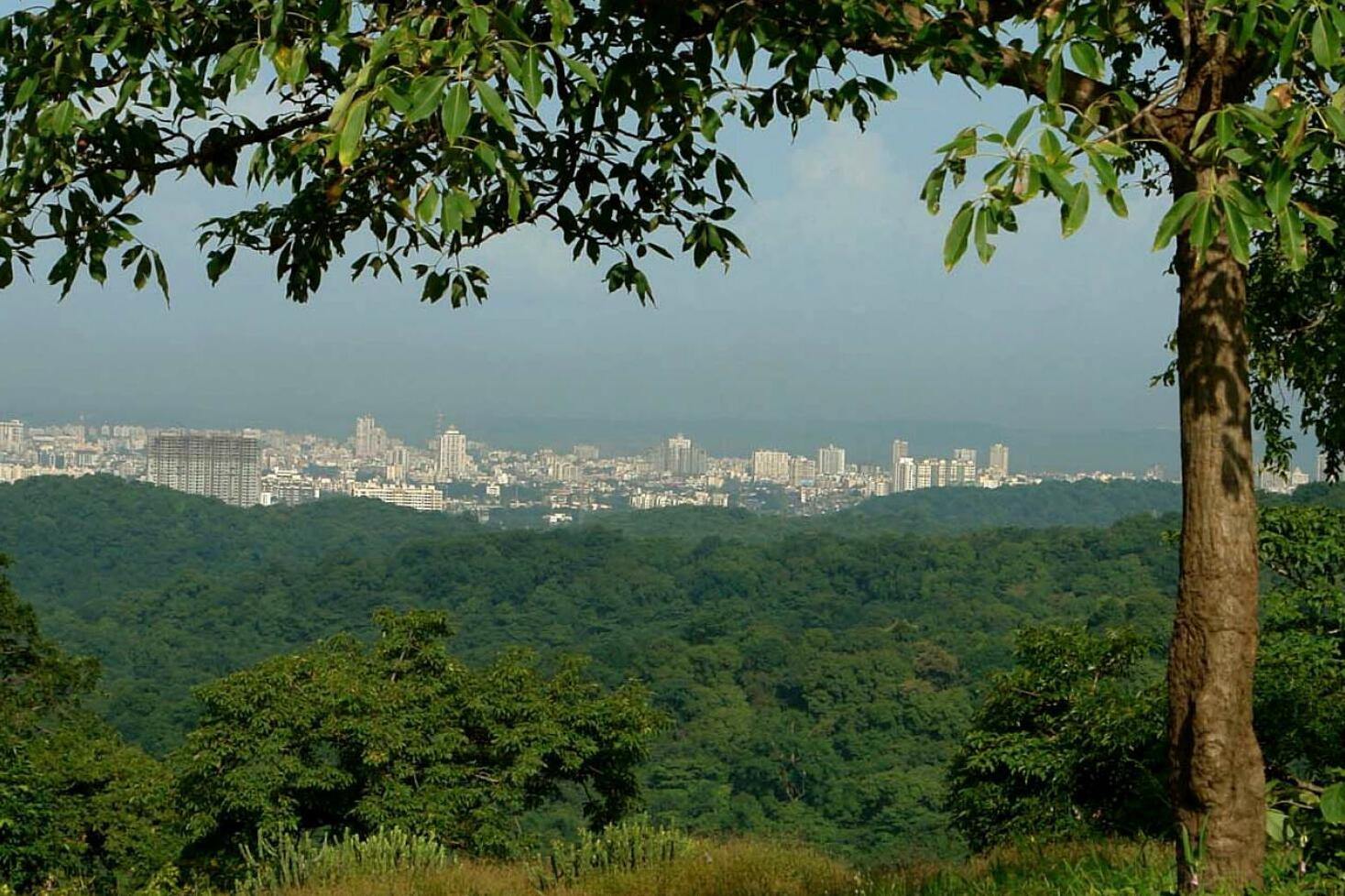 Mumbai | Sanjay Gandi Park Kombëtar : Një Thesar Natyror  - Mumbai | Secret World Trip Planner