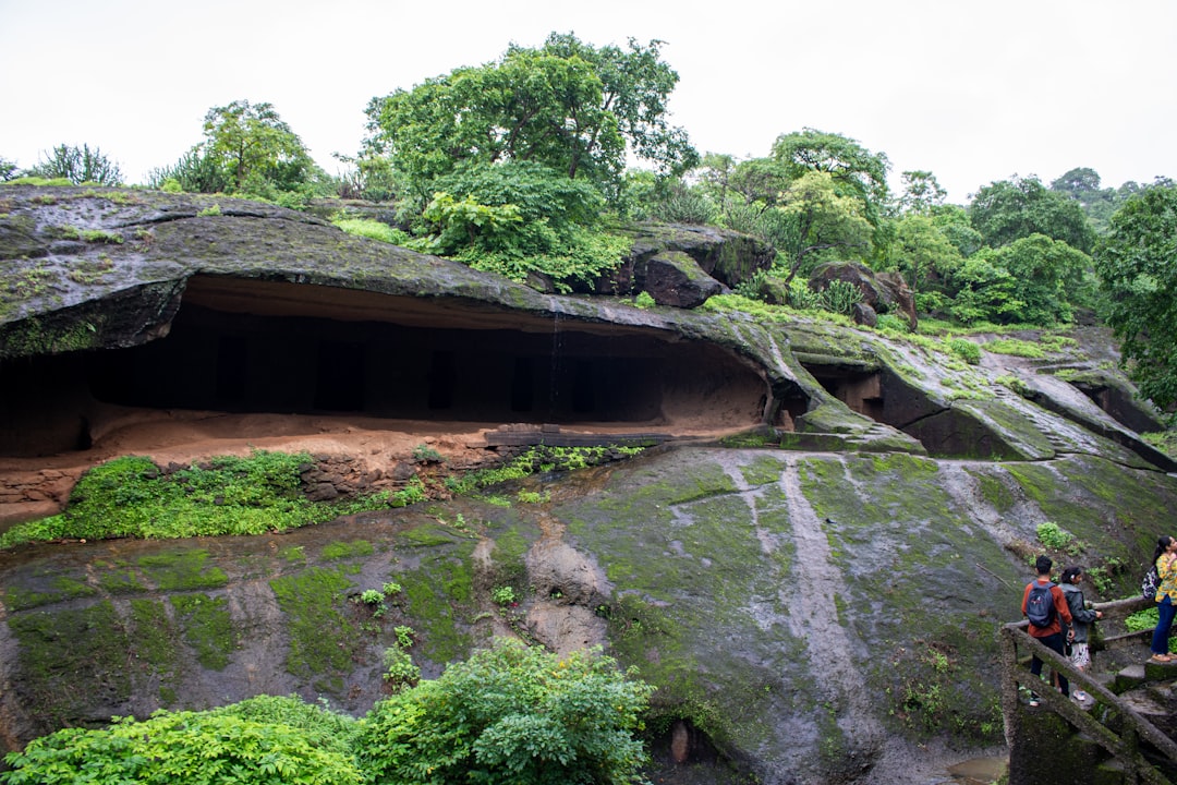 Mumbai | Sanjay Gandi Park Kombëtar : Një Thesar Natyror  - Mumbai | Secret World Trip Planner