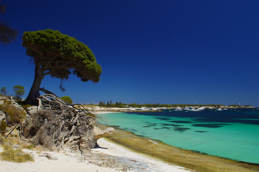 La isla de Rottnest, un pequeño trozo de cielo mediterráneo - Rottnest Island | Secret World Trip Planner