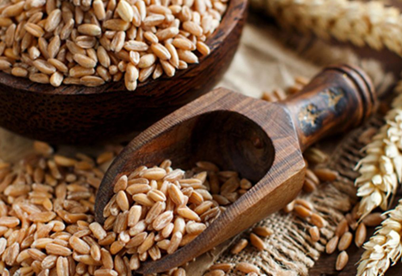 Abbateggio, paese del farro — Abbateggio