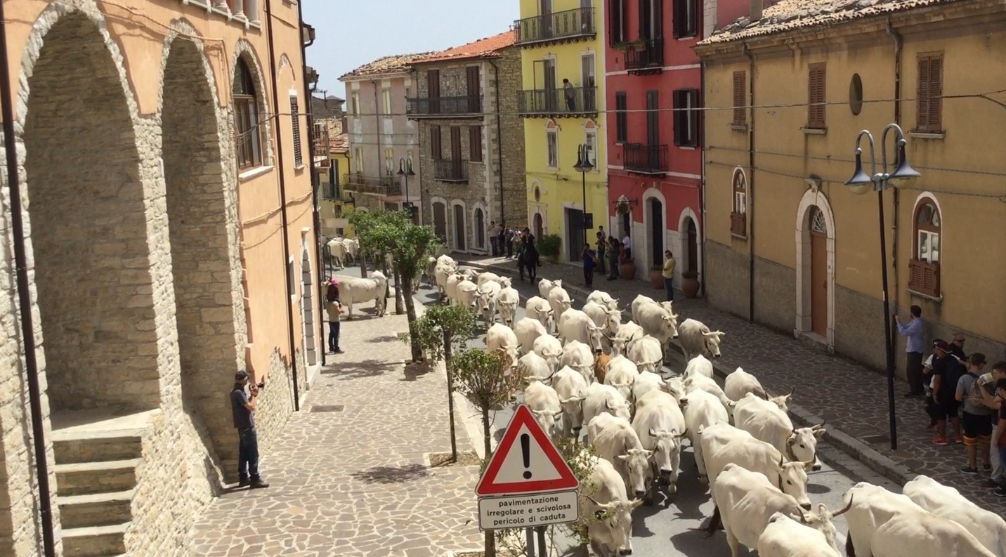 Frosolone, la ciudad de los cuchillos - Frosolone | Secret World Trip Planner
