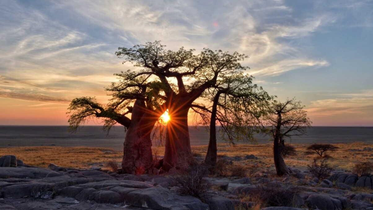 Botswana | Kubu Island  - Kubu Island | Secret World Trip Planner