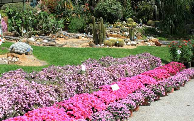 Jardín Botánico de Nápoles - Napoli | Secret World Trip Planner