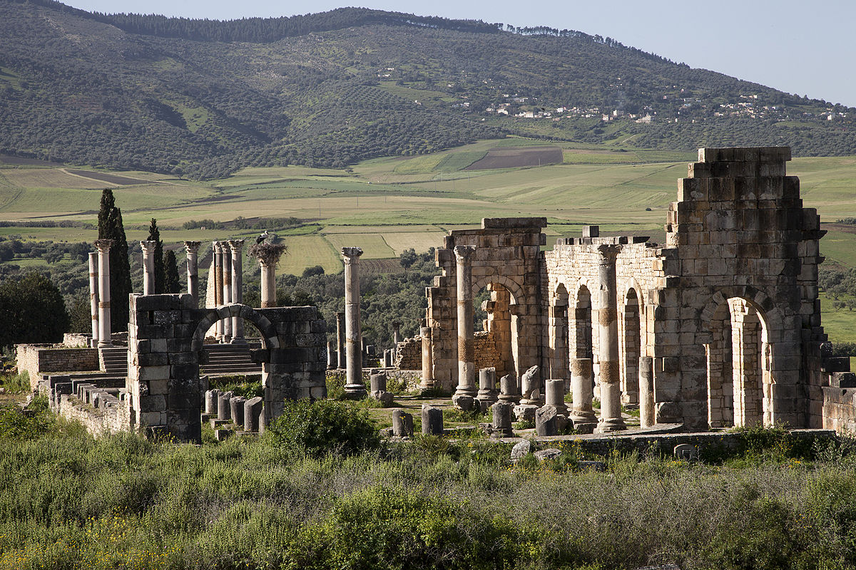 Sitio arqueológico de Volubilis - Meknes | Secret World Trip Planner