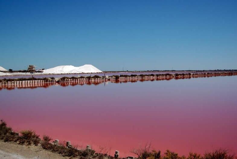 Pink Salins in Aigues-Mortes - Aigues-Mortes | Secret World Trip Planner