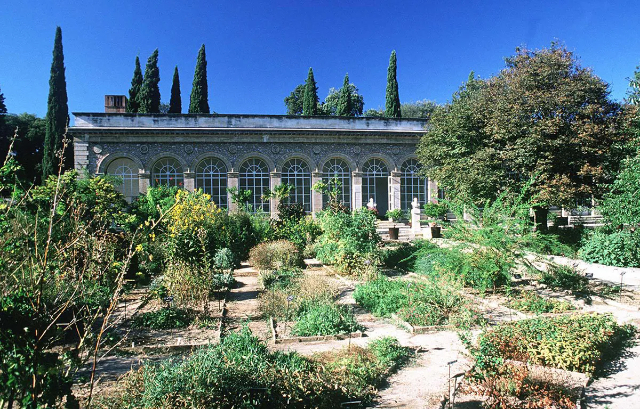 پودوں کا باغ - Montpellier | Secret World Trip Planner