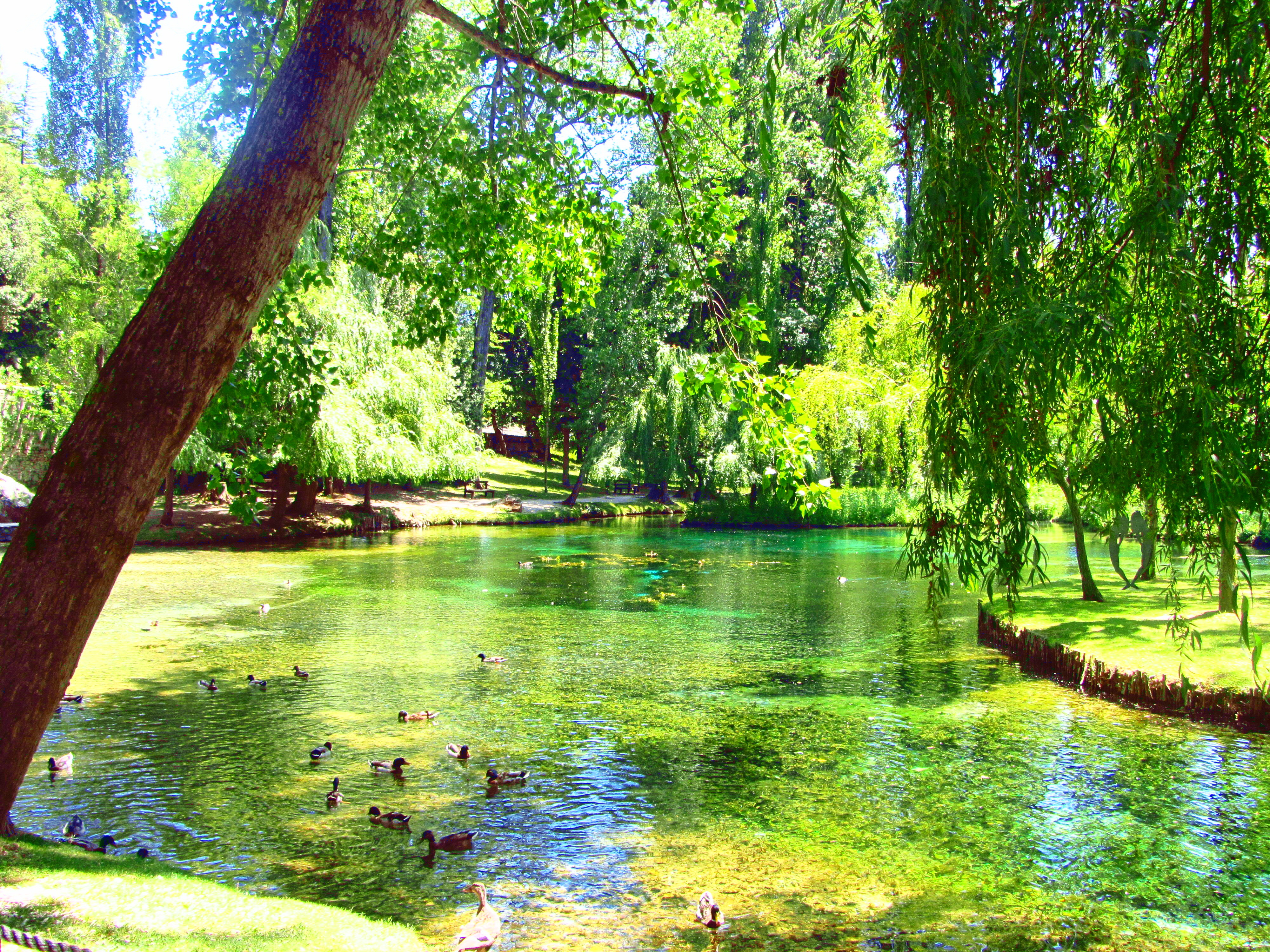 Sources of the Clitumnus - Campello Sul Clitunno | Secret World Trip Planner