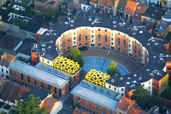 Rue Zebra — Gent