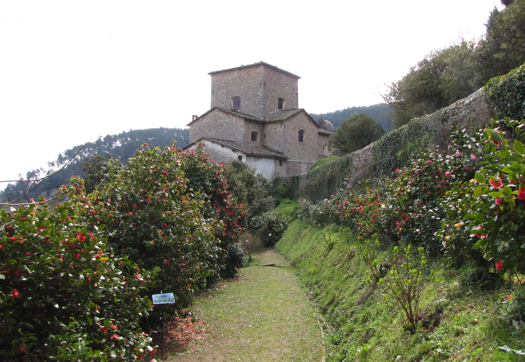 Ancient Chiusa Borrini between tea and beautiful camellias - Capannori | Secret World Trip Planner