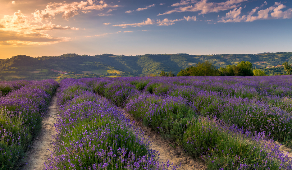 ເກື St. ໂຢຮັນ,Provence ນ້ອຍ - Sale San Giovanni | Secret World Trip Planner