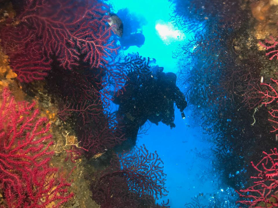 La Secca del Banco di Santa Croce - Castellammare di Stabia | Secret World Trip Planner