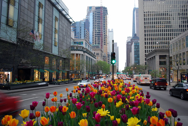 La Milla Magnífica es una meca para los turistas - Chicago | Secret World Trip Planner