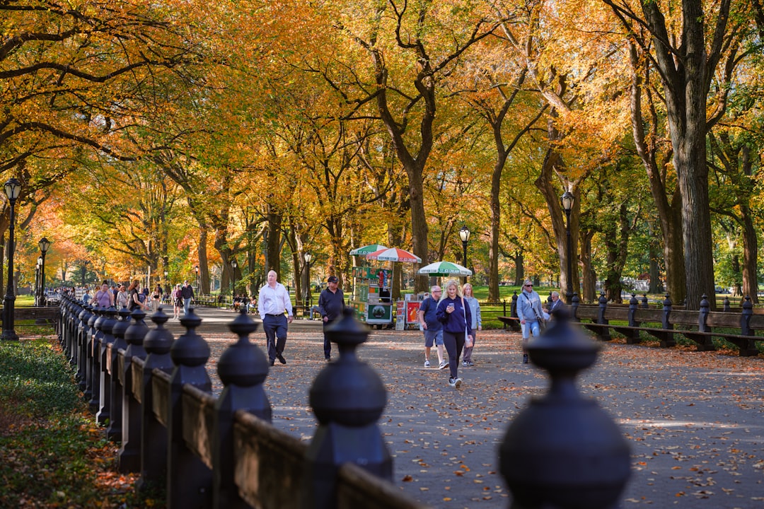 Ritmo de otoño n.30 - New York | Secret World Trip Planner