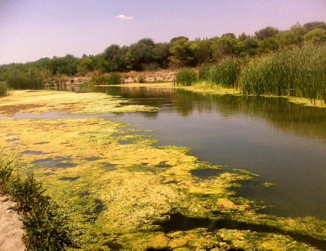 Kuchunguza Oasis ya WWF ya Policoro - 1 | Secret World Trip Planner