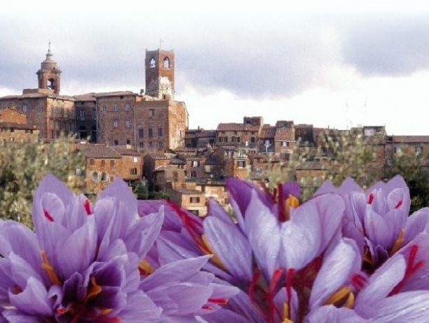 El safrà a Città della Pieve - Città della Pieve | Secret World Trip Planner