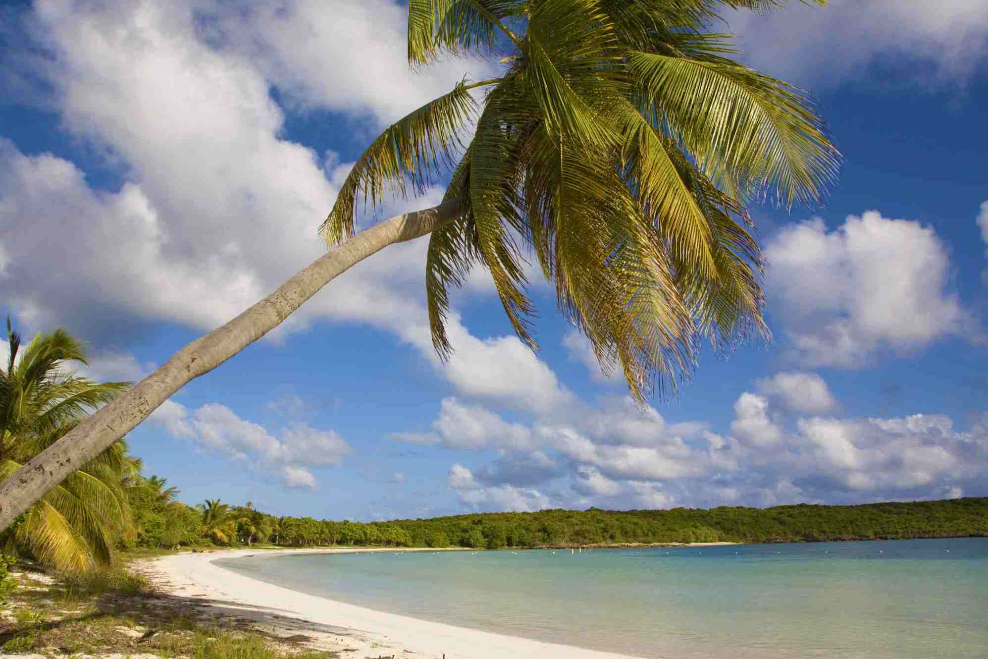Island of Vieques - Vieques | Secret World Trip Planner
