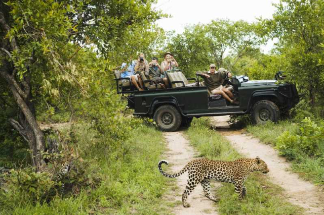 Parque Nacional de Wilpattu | Secret World Trip Planner