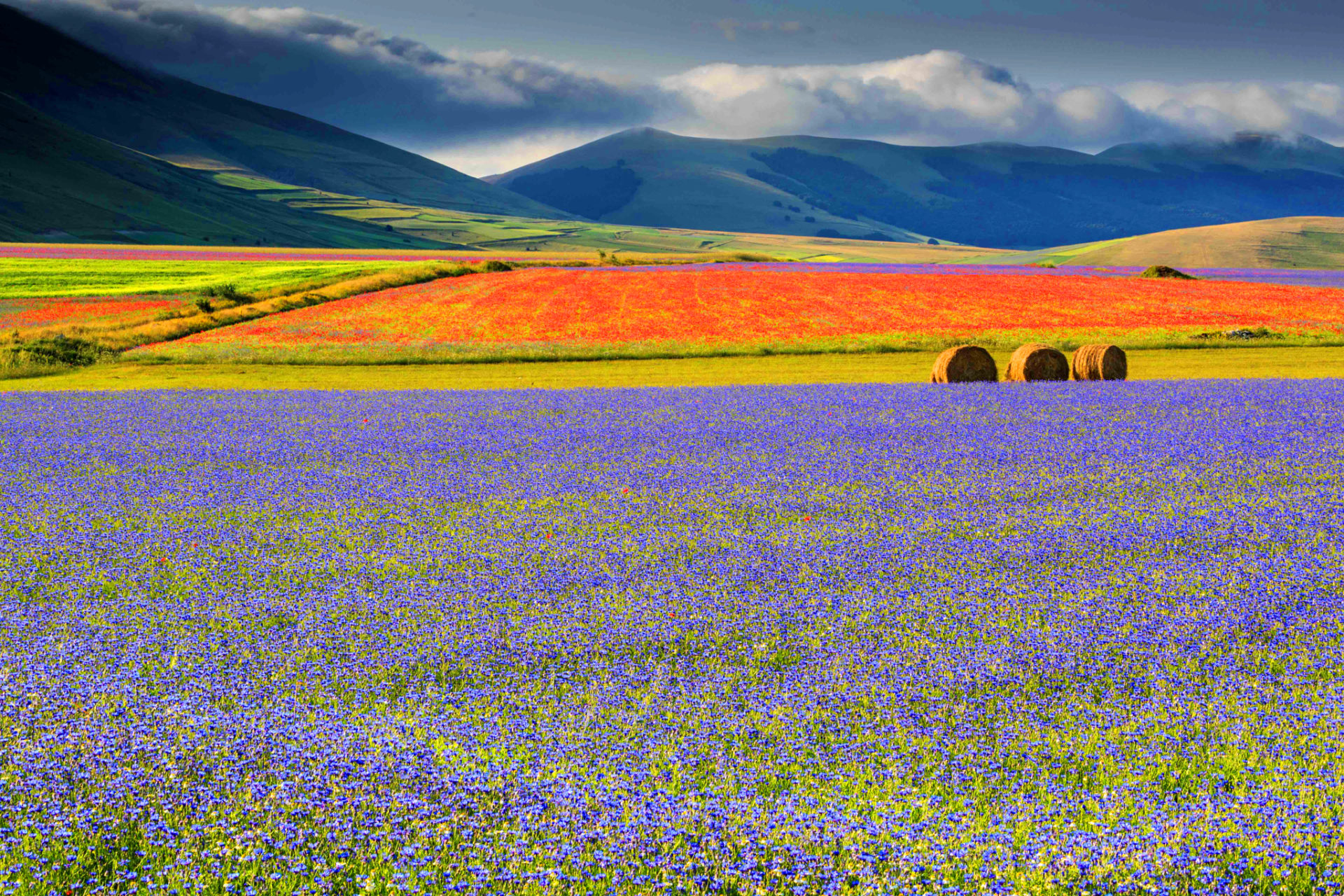 Rozkvět Castelluccia - Castelluccio | Secret World Trip Planner