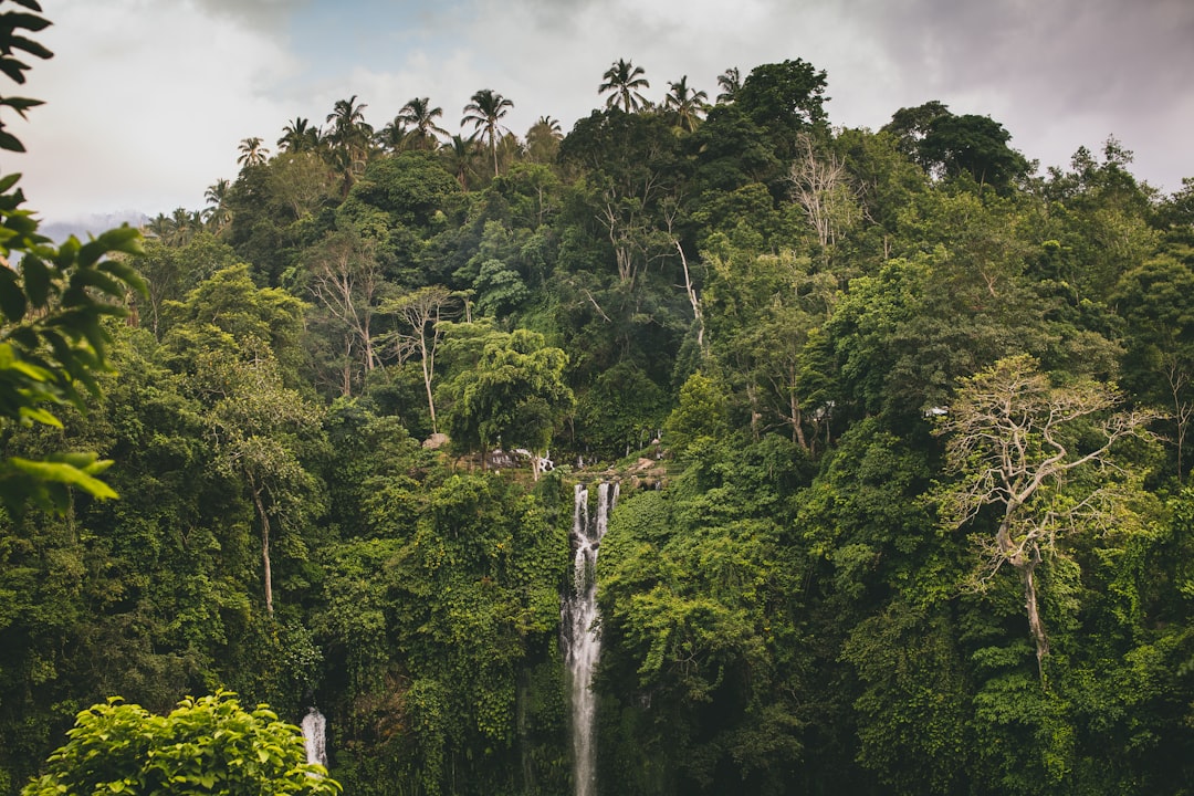 Cascada de Sekumpul - Buleleng Regency | Secret World Trip Planner