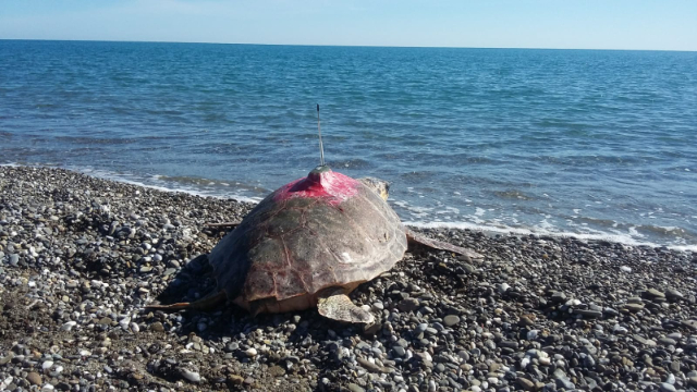 Esplorando l'Oasi WWF di Policoro - 1 | Secret World Trip Planner