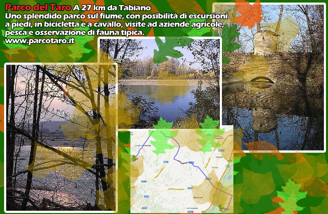 Taro ၏မြစ်ပန်းခြံ - 12 | Secret World Trip Planner