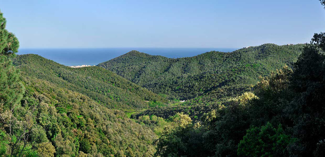 Parc du Montnegre — Dosrius
