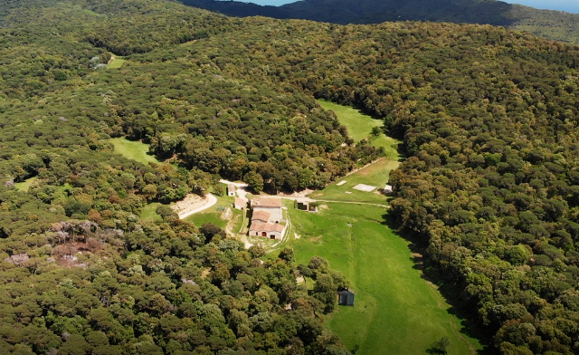 Parc du Montnegre - Dosrius | Secret World Trip Planner