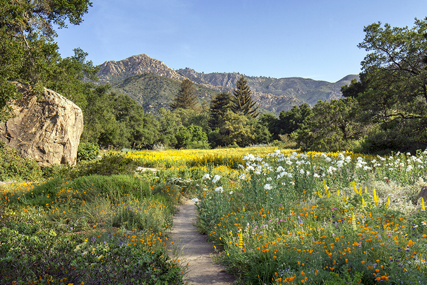 Santa Bàrbara Jardí Botànic - Santa Barbara | Secret World Trip Planner