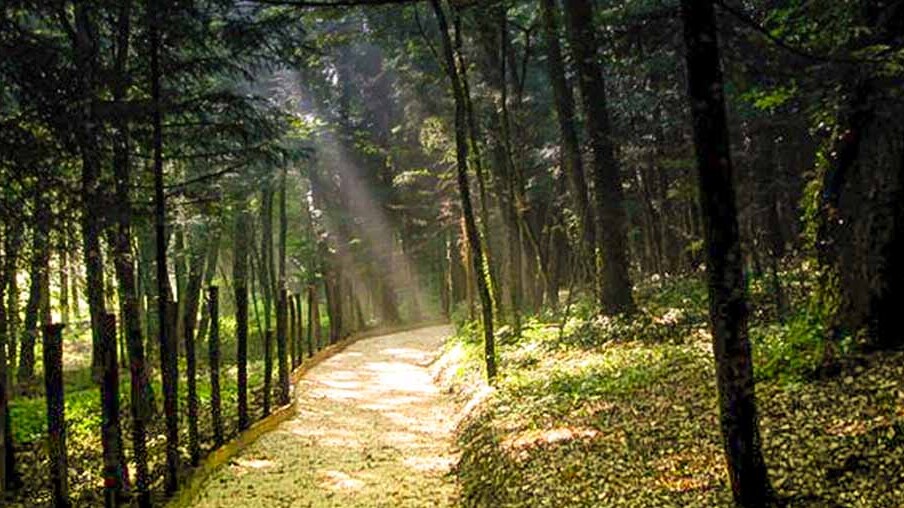 Montedimezzo MAB Reserve - Vastogirardi | Secret World Trip Planner