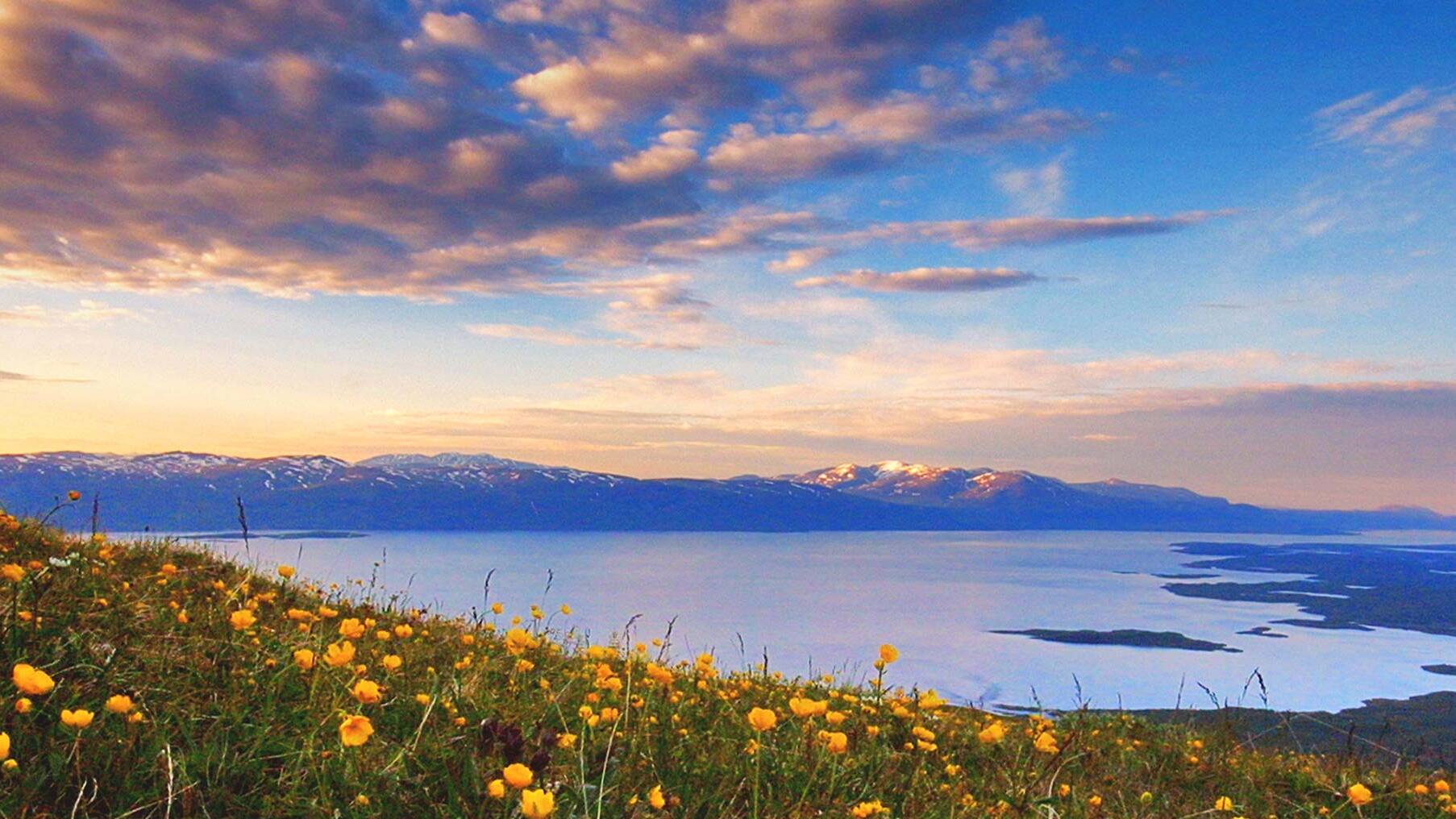 Laponia: Parque Nacional de Abisko — 981 07 Abisko