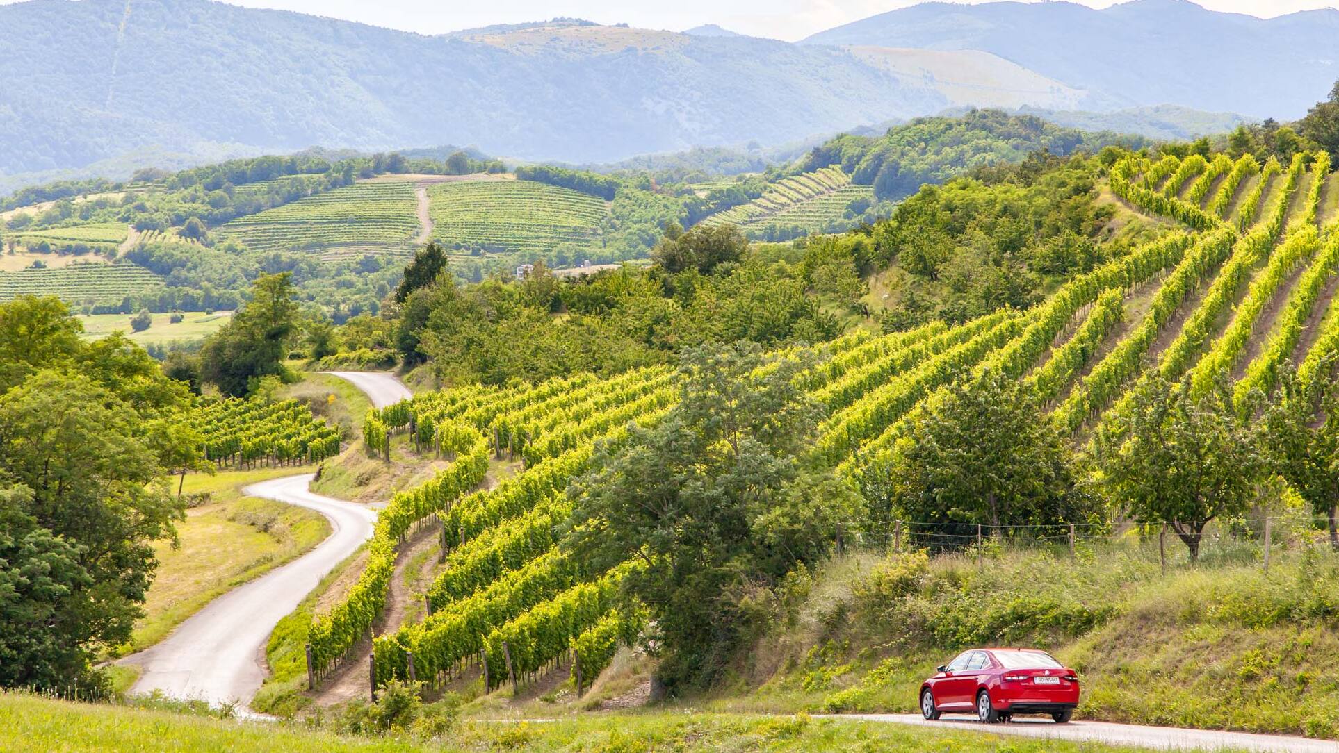 Vipava Valley: Regno del Vino | Secret World Trip Planner