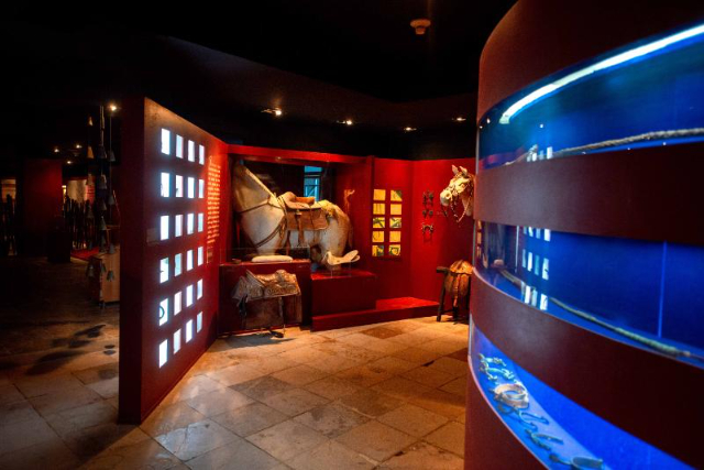 Musée d'art contemporain de Ceará - MAC - Fortaleza - CE | Secret World Trip Planner
