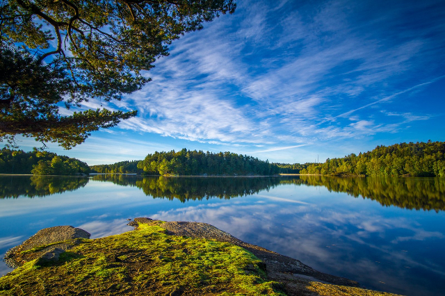 Reserva natural de Änggårdsbergen — Mölndal