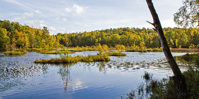 Reserva natural de Änggårdsbergen - Mölndal | Secret World Trip Planner