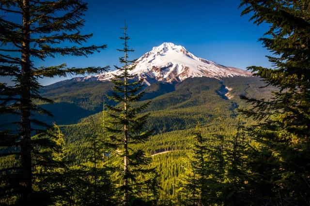 Mt. Hood National Forest — Mt Hood National Forest