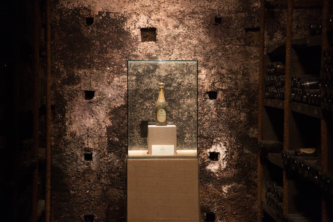 Briones | El Museo de la Cultura del Vino - Briones | Secret World Trip Planner