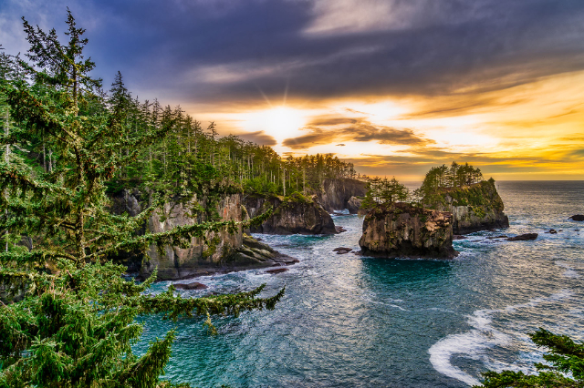 केप फ्लॅटरी - Cape Flattery Trail | Secret World Trip Planner