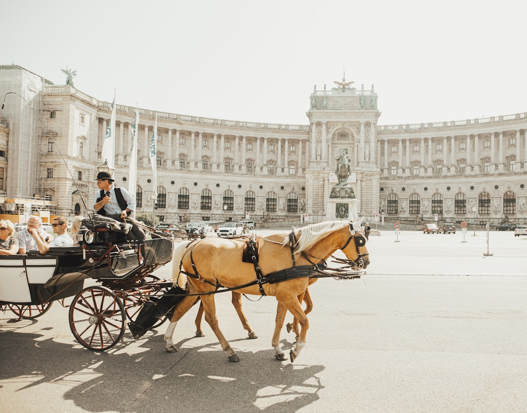 स्पेनिश वियेना में शाही अस्तबल में स्कूल की सवारी - Wien | Secret World Trip Planner
