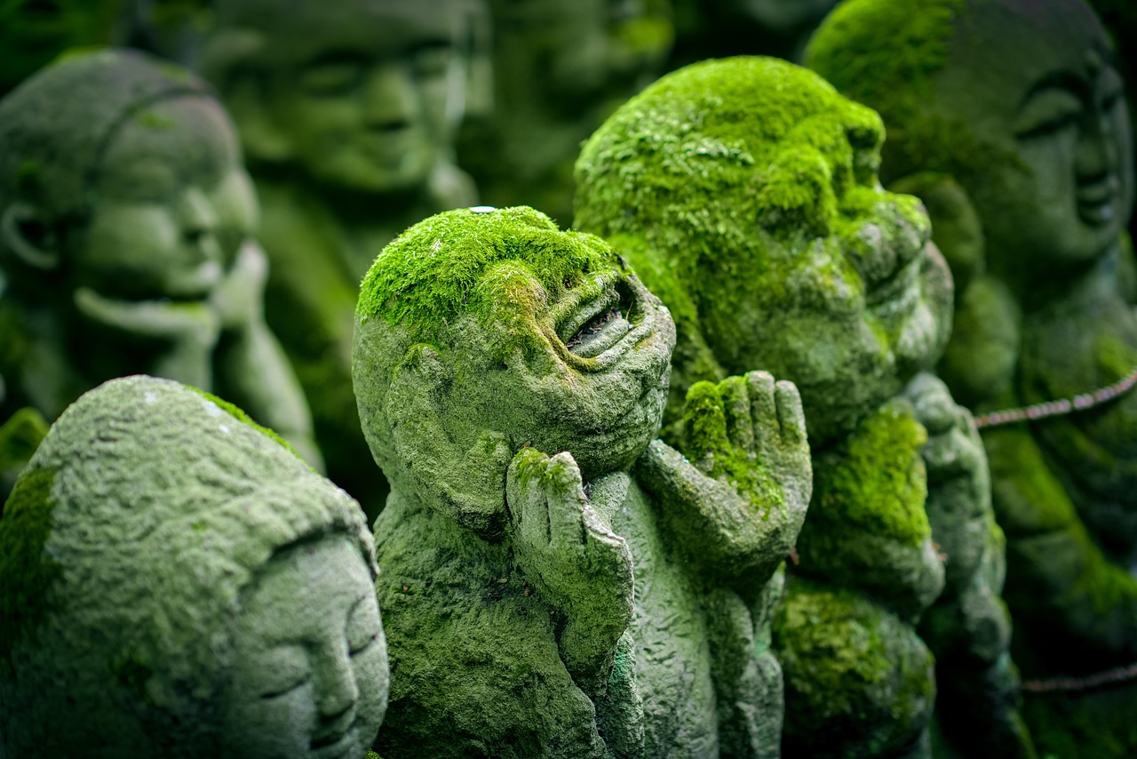Saihoji, znany jako Kokedera, jest jednym z UNESCO Kioto - Ky?to-shi | Secret World Trip Planner