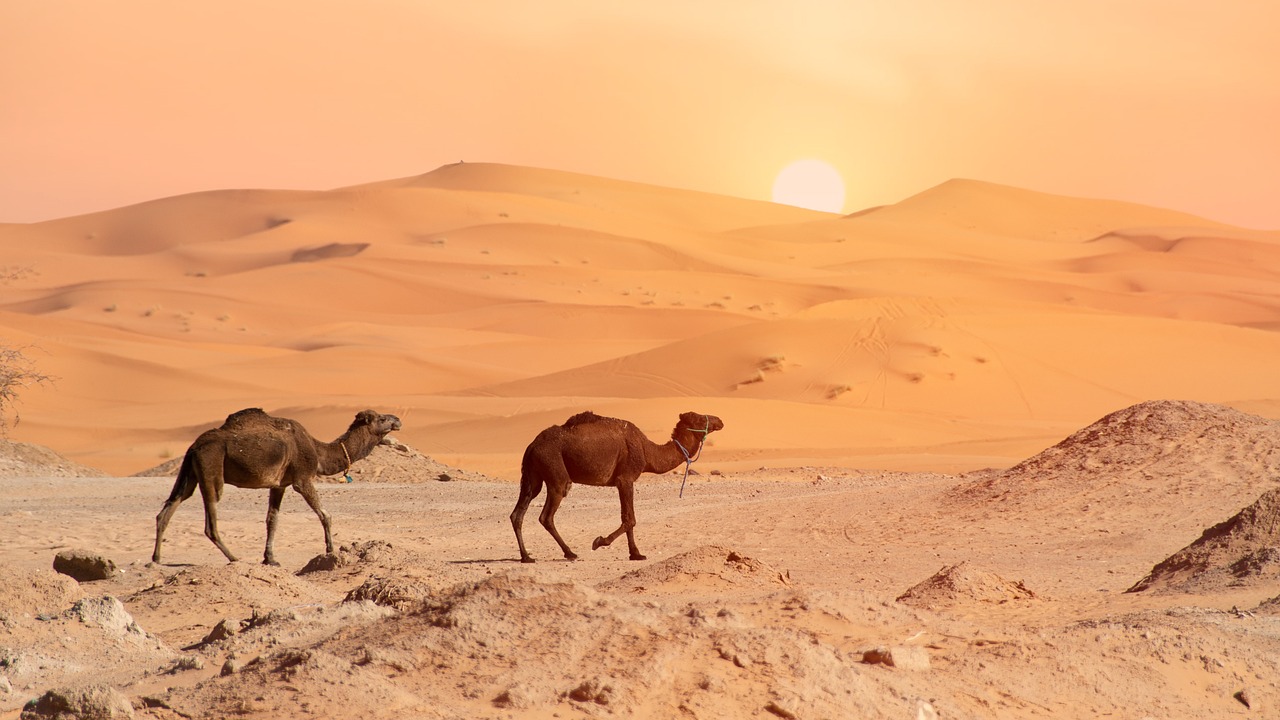 Marocco | Erg Chebbi luited - Erg Chebbi | Secret World Trip Planner