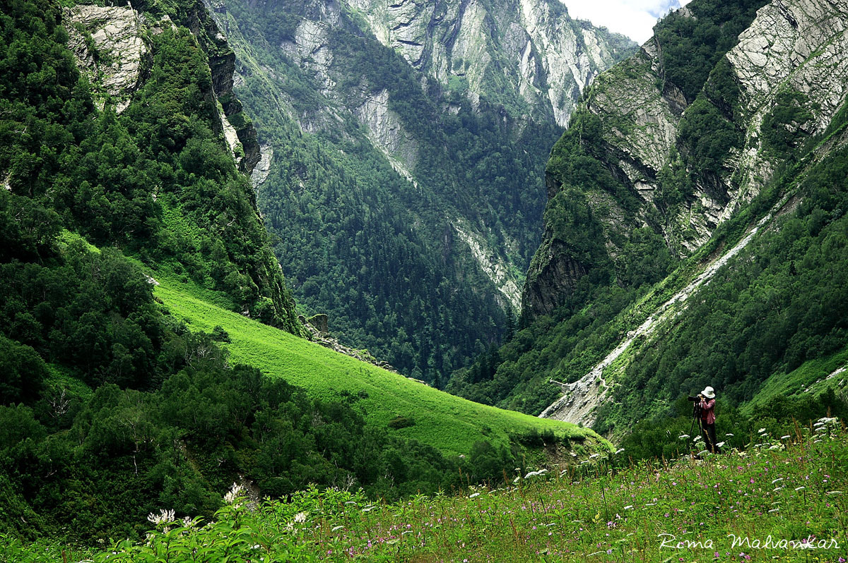 India | Valle de las Flores - Uttarakhand 246443 | Secret World Trip Planner